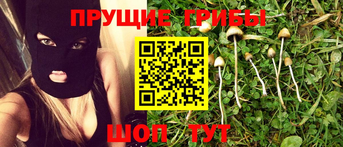 Новороссийск  Галлюциногенные грибы Magic Shrooms  Вход с VPN  Галлюциногенные грибы мухоморы 